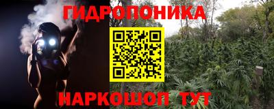 альфа пвп Можга